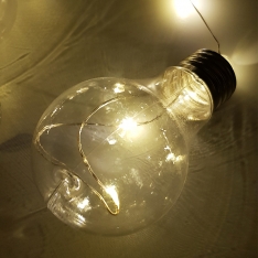 LED lemputės su viela