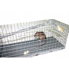 Spąsti pelėms ir žiurkėms 27x11x11 cm