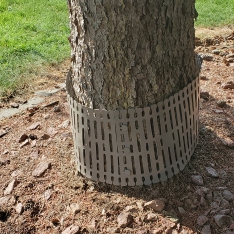Medžio kamienų apsauga XLINE