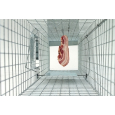 Profesionalus narvas 120x34x34 cm