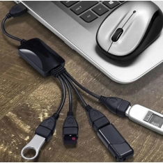 4 prievadų USB šakotuvas