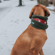 Augintinio šalikas Hunter Žalias