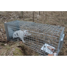 Narvas spąstai 80x26x26 cm STRONG