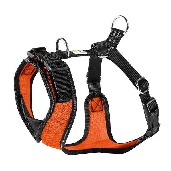 M Petnešos šunims Hunter H92732