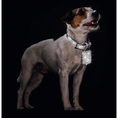 40 CM. antkaklis Hunter H65362