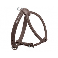 35 CM. Petnešos šunims Hunter H61669