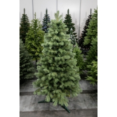 180 cm Kalėdų eglutė Sosna Himalajska Exclusive