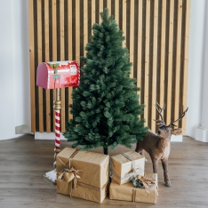 150 cm Kalėdų eglutė Sosna Himalajska Exclusive