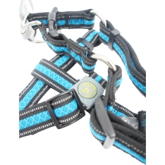 50-72CM Petnešos Šunims Hunter