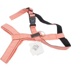 L Petnešos Gustaf & Evita