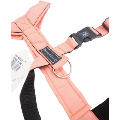 L Petnešos Gustaf & Evita