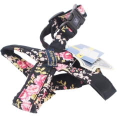 XS Petnešos „Gustaf & Evita“