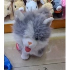 Interanktyvus kačiukas