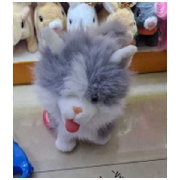 Interanktyvus kačiukas