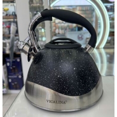 Virdulys nerūdijančio plieno 3,0 l