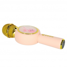 Belaidis karaoke mikrofonas vaikams