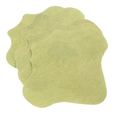 Nugaros pleistrai, 10 vnt.