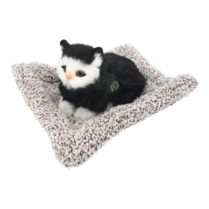 Dekoracija ''katytė ''