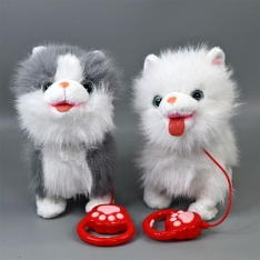 Interanktyvus kačiukas