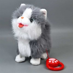 Interanktyvus kačiukas