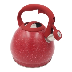 3,0 l nerūdijančio plieno virdulys