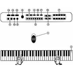 Pianinas Su Mikrofonu