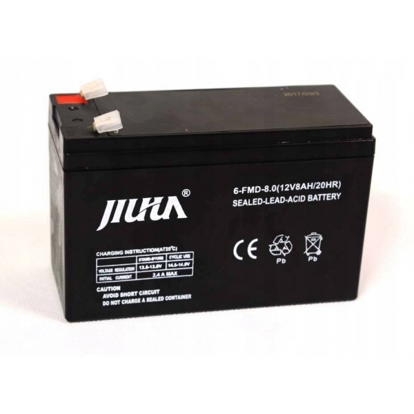 Akumuliatorius sodo purkštuvui 12V 8Ah (atsarginė dalis)