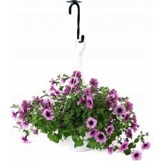 LAIKIKLIS KABINAMIEMS VAZONAMS