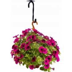 LAIKIKLIS KABINAMIEMS VAZONAMS