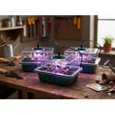 Mini šiltnamių rinkinys daiginimui su LED apšvietimu – 3 vnt.