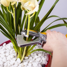 Atsarginės kabės augalų tvirtinimo segikliui