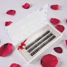 Blakstienų rinkinys TR2033i/40D/12mm