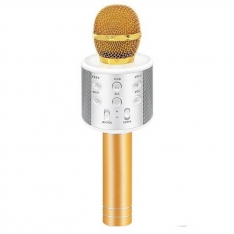 Išmanusis karaoke mikrofonas