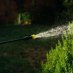 Rankinis nugarinis sodo purkštuvas 12 l