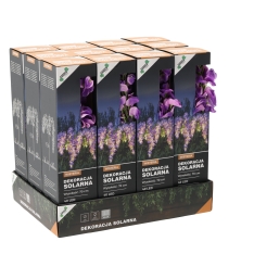 Saulės energija maitinama dekoratyvinė LED lempa „Visterija“, 70 cm