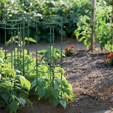 Plastikinė augalų atrama – reguliuojamo aukščio