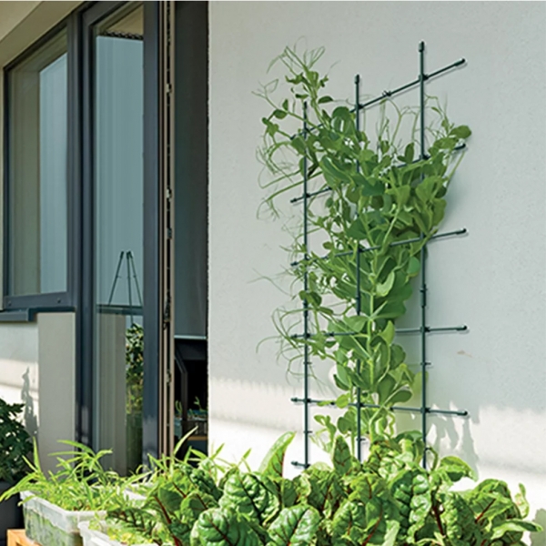 Plastikinė augalų atrama – modulinė sienelė (1 vnt.)