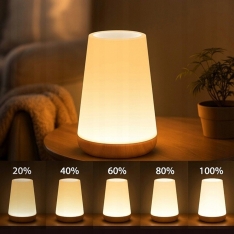 LED naktinė lempa su pulteliu ir lietimui jautriu valdymu