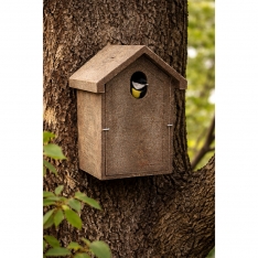 Inkilas zylėms iš polimermedžio su ovalia landa 5 × 3 cm