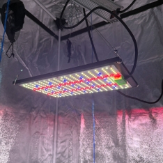 LED augalų panelė PROFI