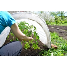 Agroplėvelė 1,6 x 10 m pavasarinė balta 17 g/m²