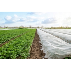 Agroplėvelė 1,6 x 10 m pavasarinė balta 17 g/m²