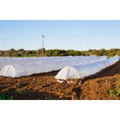 Agroplėvelė 1,6 x 10 m pavasarinė balta 17 g/m²