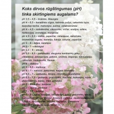 Dirvožemio rūgštintojas pH4 su mini laboratorija, 500 g