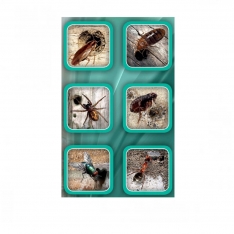 Ataka SNIPER insekticidas skraidantiems ir ropojantiems vabzdžiams, 400 ml