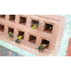 WACIP DUST milteliai ropojantiems vabzdžiams ir vapsvoms, 500 g