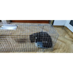Narvas 77X20X27