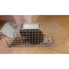 Narvas 50X17X20cm