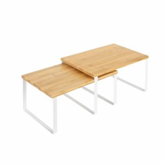 Lentynų rinkinys 2vnt.