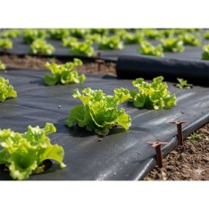 Agroplėvelė nuo piktžolių 1 x 10 m, juoda, 50 g/m²